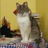 Отзыв от Лидия Анохина